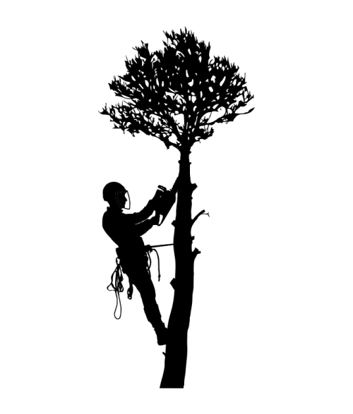 Logo PETEL ELAGAGE ABATTAGE